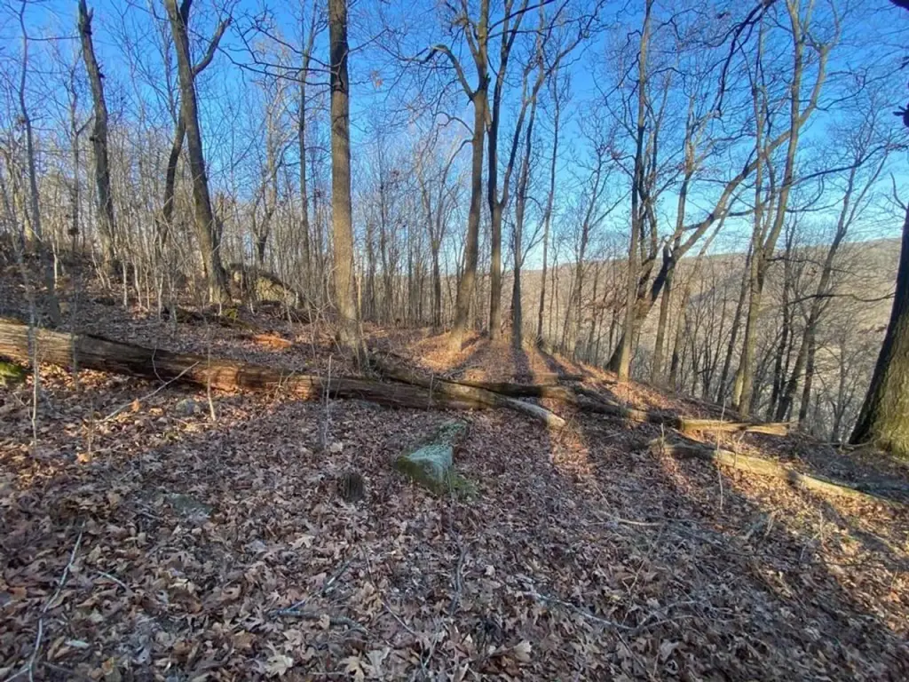 Picture 6