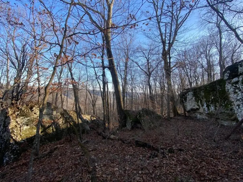 Picture 8