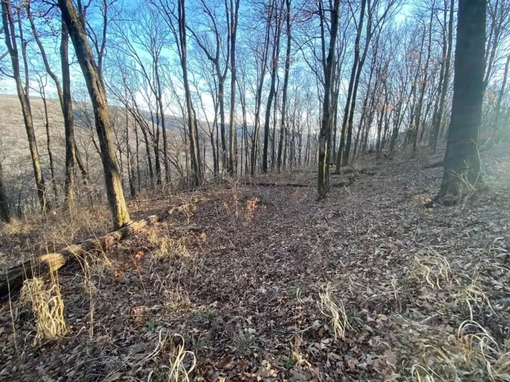 Picture 31