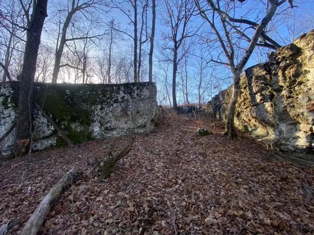 Picture 5