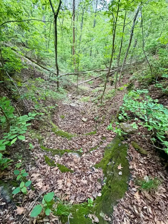 Picture 18