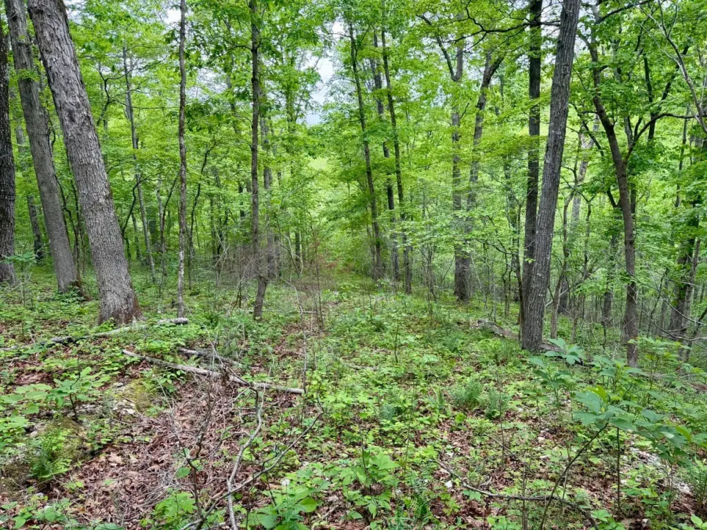 Picture 20