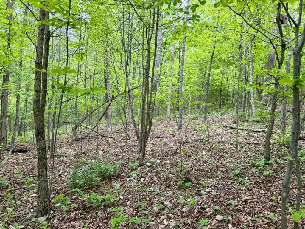 Picture 30