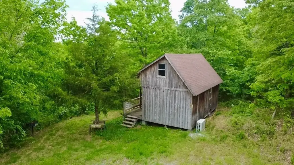 Picture 5
