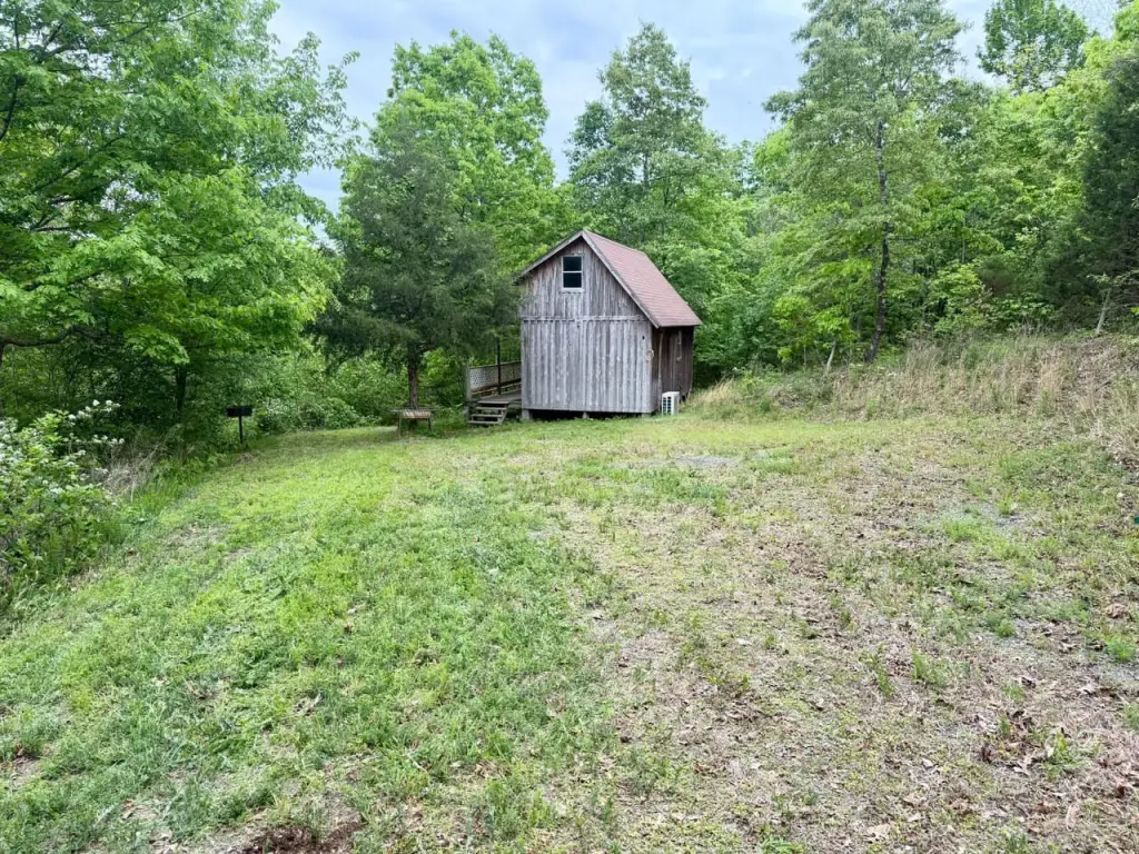 Picture 6