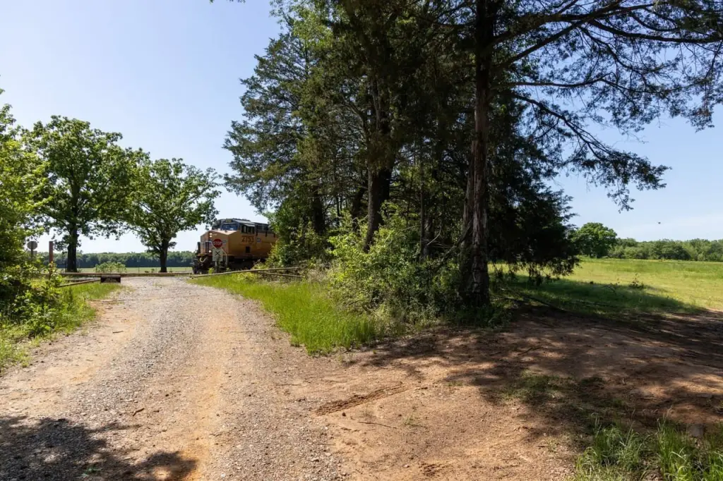 Picture 24
