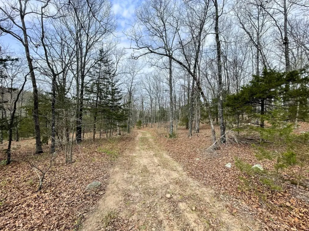 Picture 49