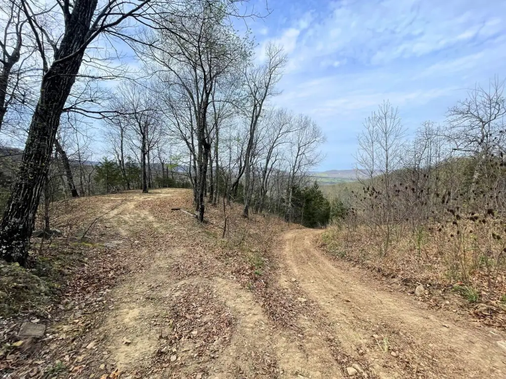 Picture 47