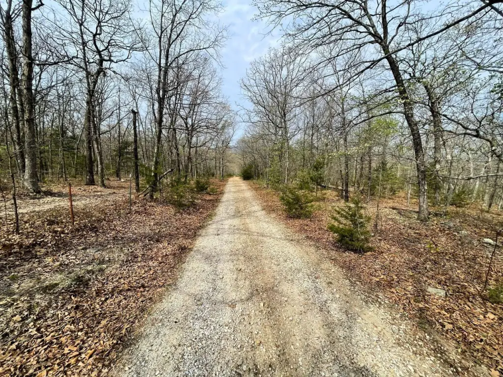 Picture 8