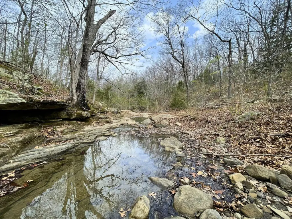 Picture 31