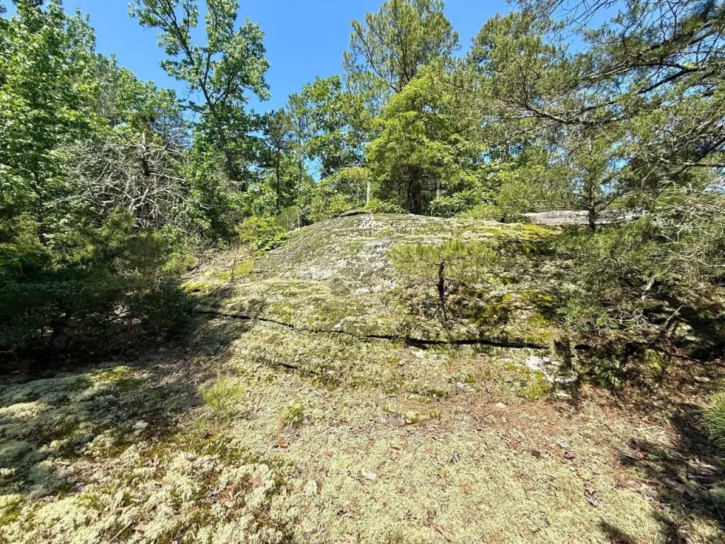 Picture 6
