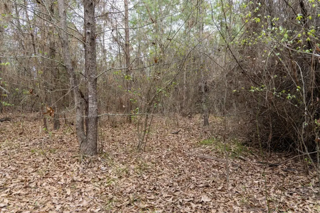 Picture 39
