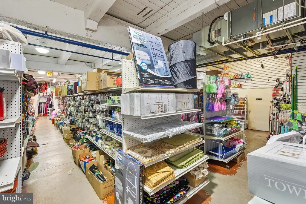 Picture 15