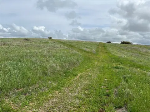 Agricultural Land