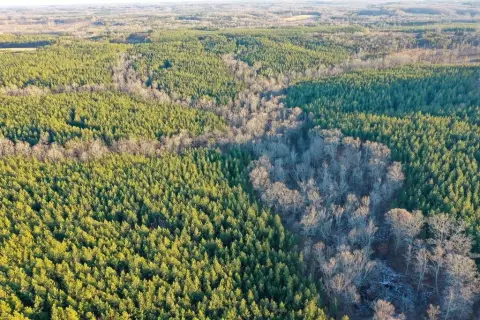 Nathalie, VA Timber Investment Property