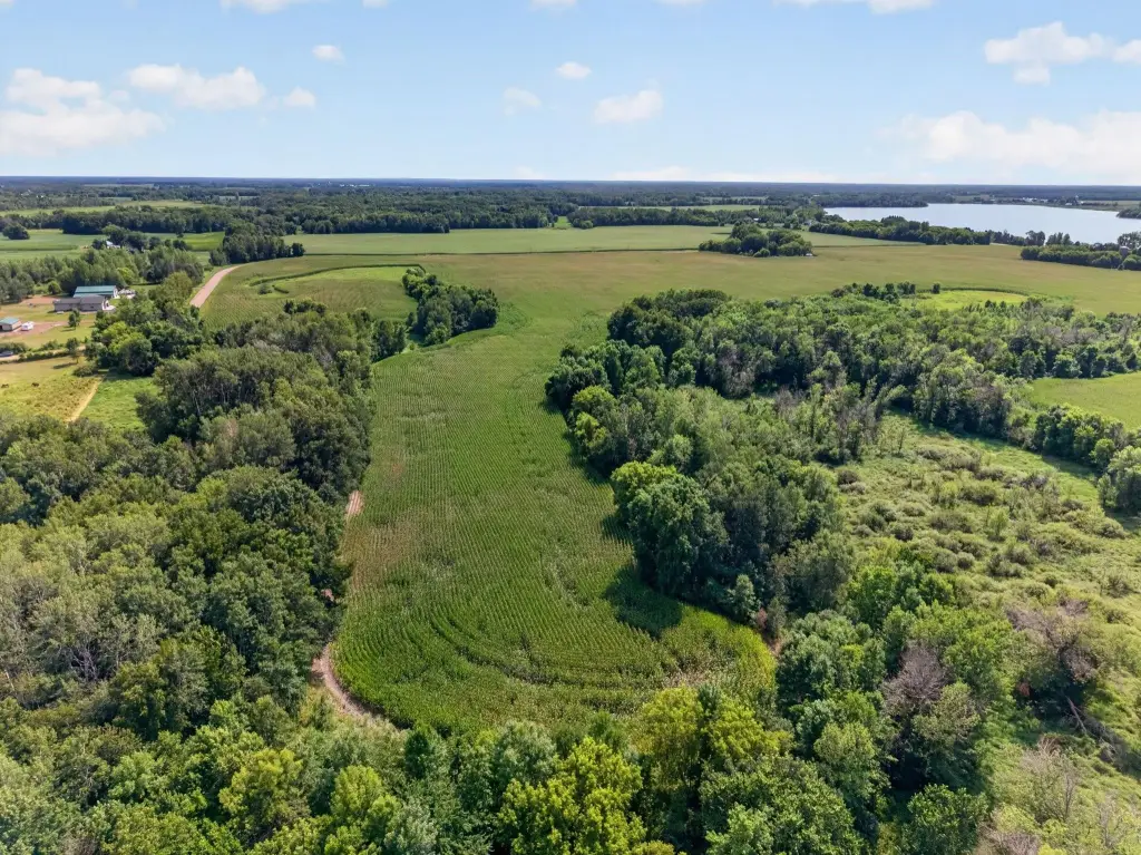 Picture 12