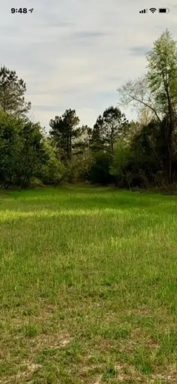 Picture 10