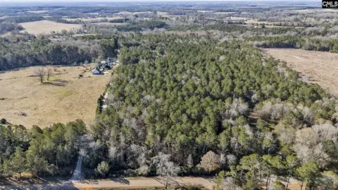 33 Acres of Timber Land