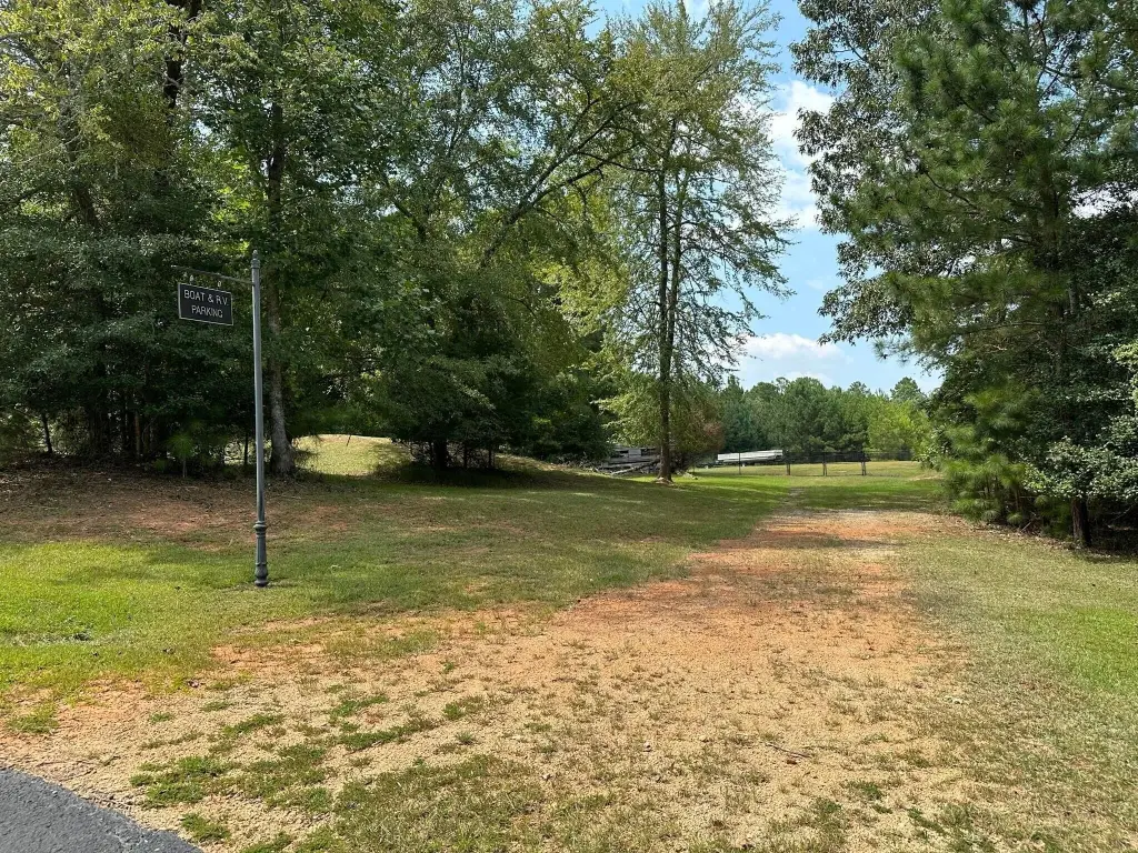 Picture 25