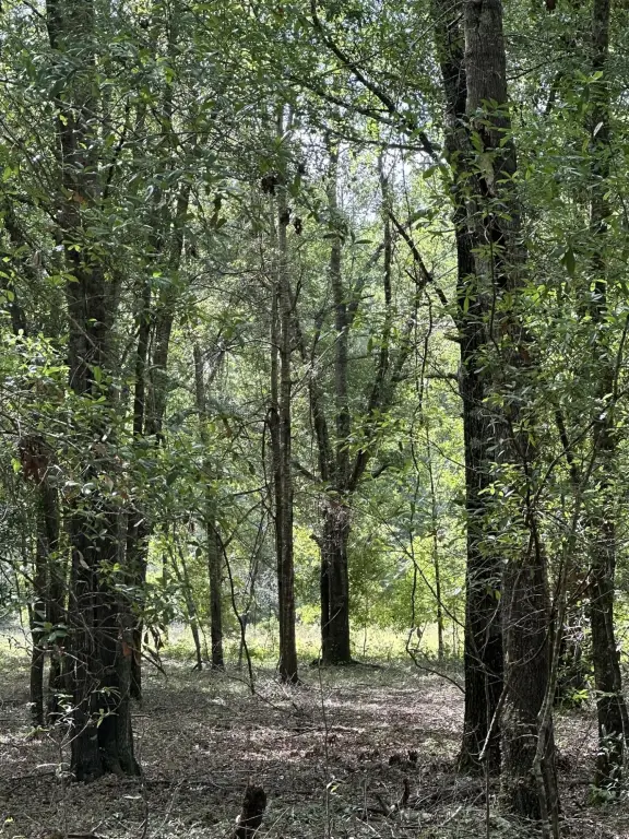 Picture 16