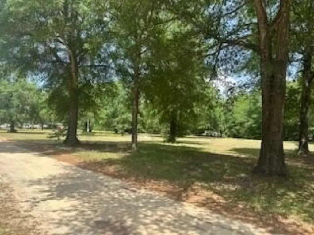 Picture 4
