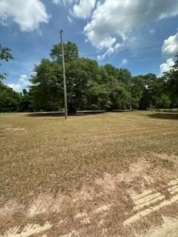 Picture 12