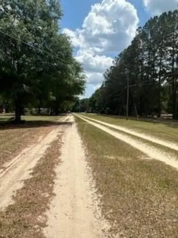 Picture 15