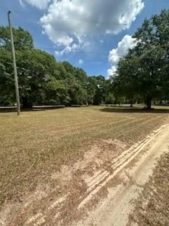 Picture 11
