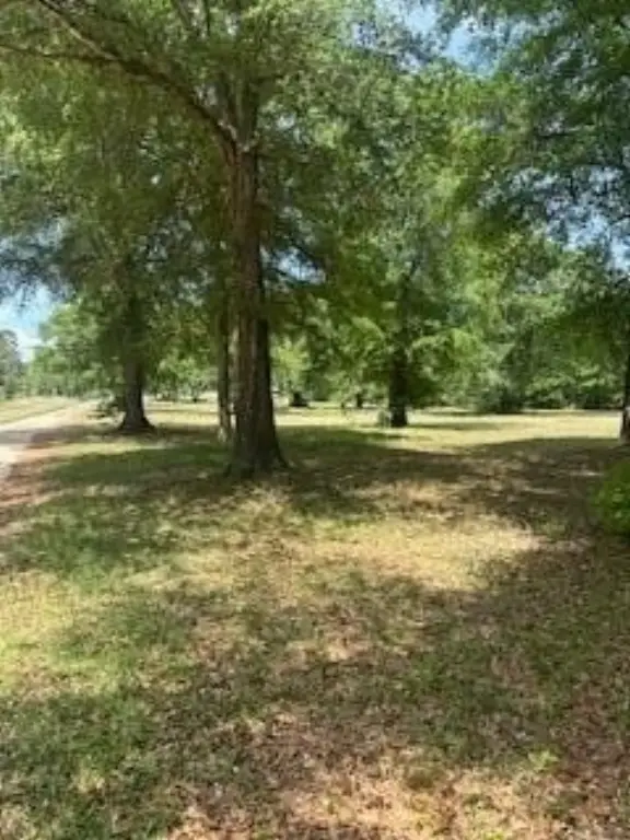 Picture 3