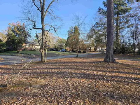 Residential Land in Lexington, SC