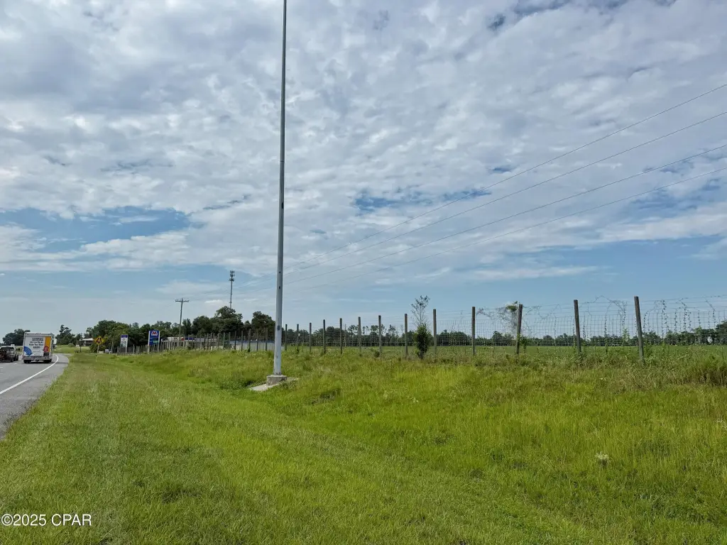 Picture 5