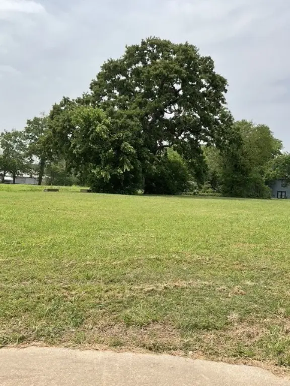 Picture 16