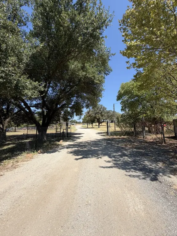 Picture 19