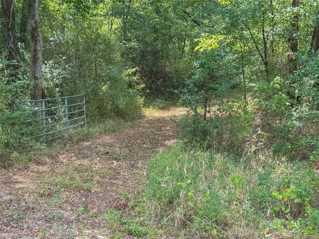 Picture 3