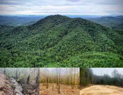 Mountain Land with Development Potential