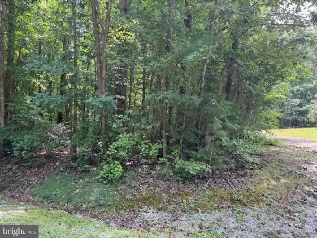 Picture 16
