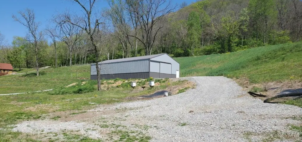 Picture 11