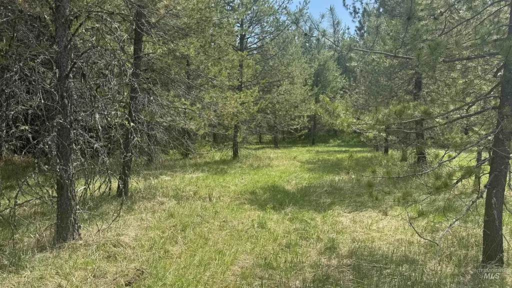 Picture 38