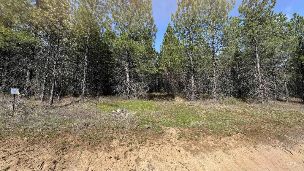 Picture 26