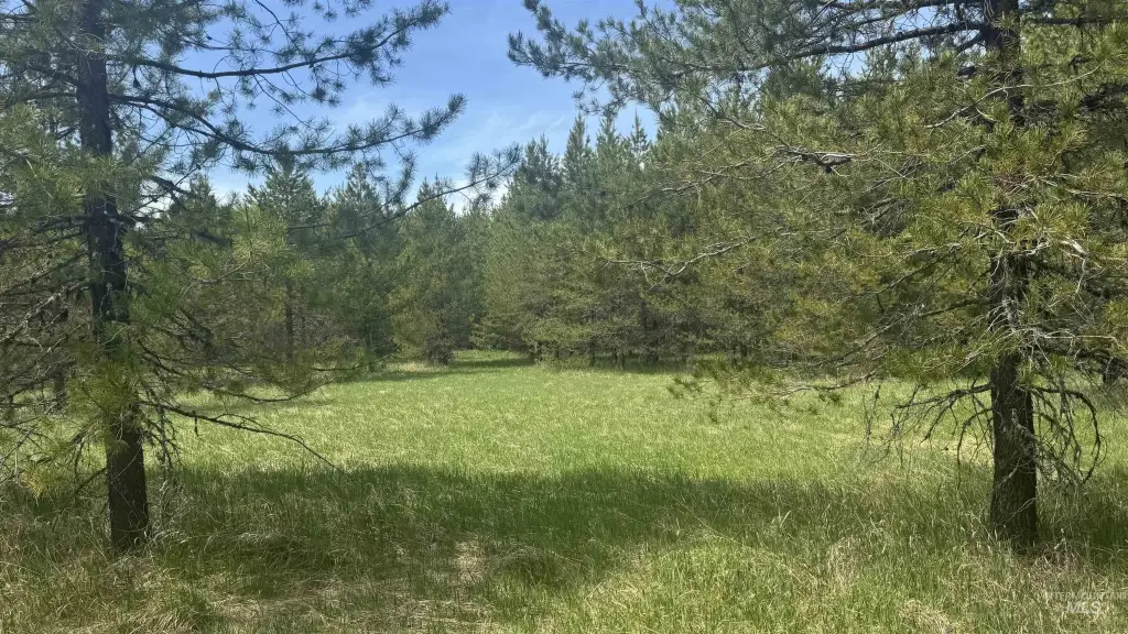 Picture 30