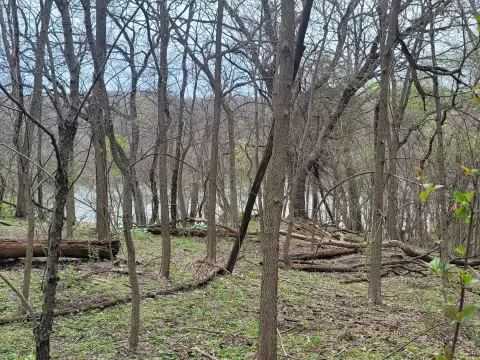 Wooded Homesite with Lake Views