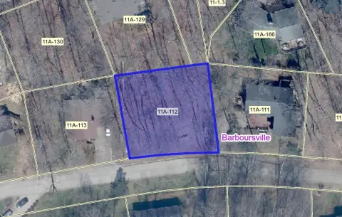 Residential Lot in Huntington, WV