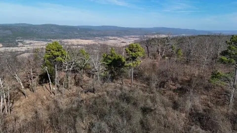 Red Oak Vacant Hunting Land