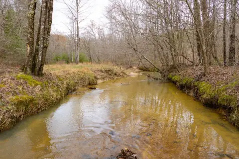 Hunting Land with Creek Frontage