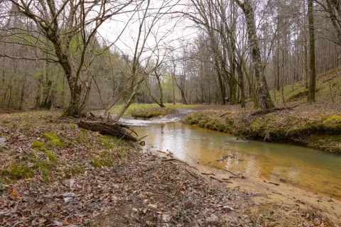 Hunting Land with Creek Frontage