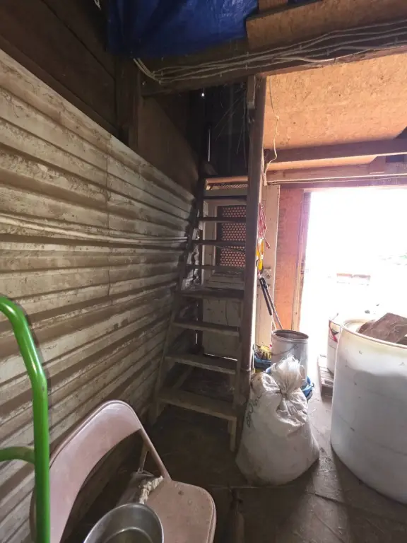 Picture 22