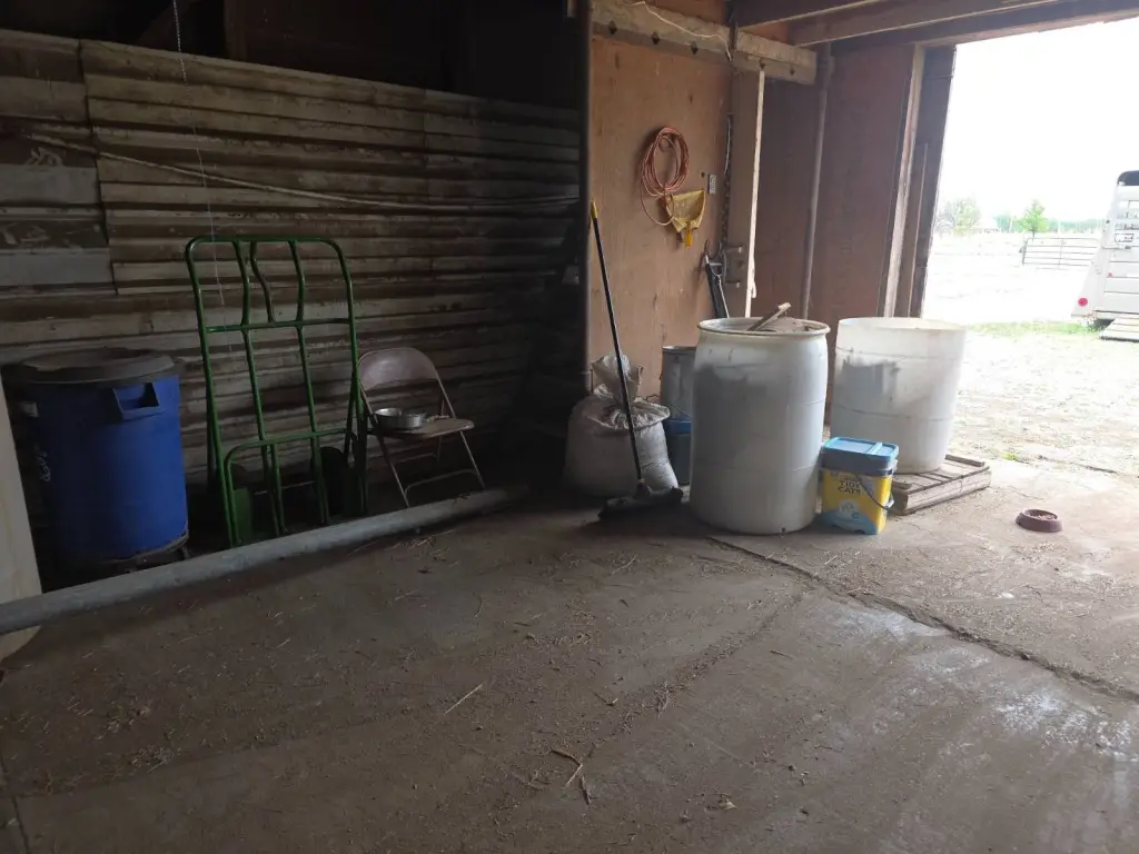 Picture 11