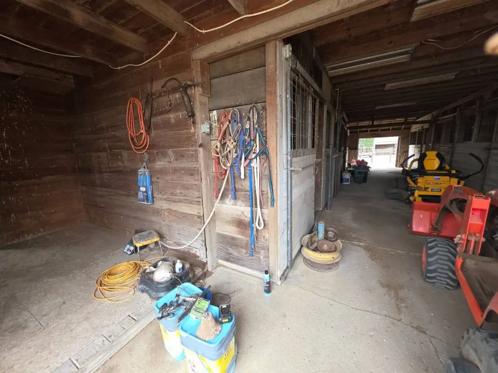 Picture 14