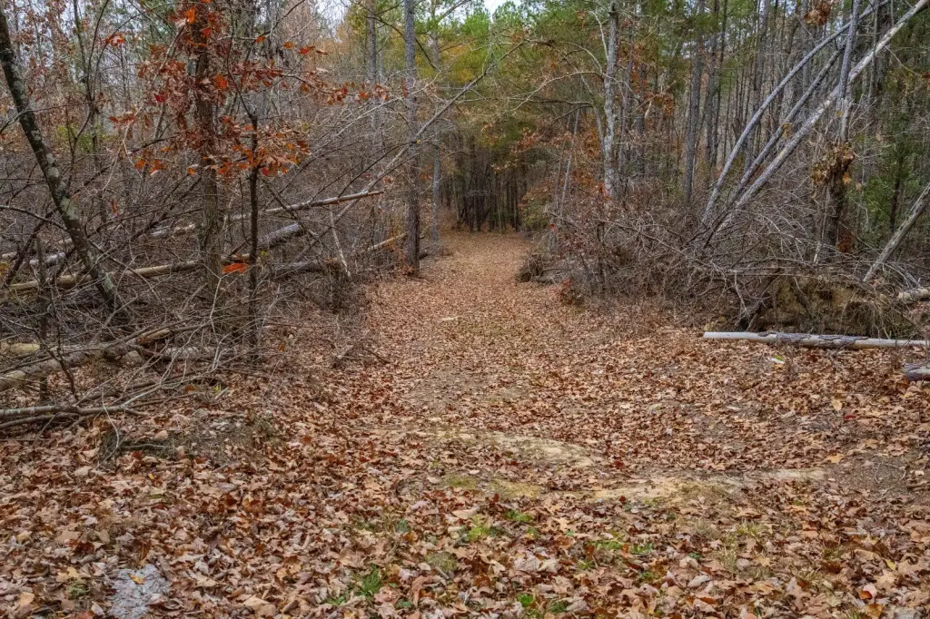 Picture 7