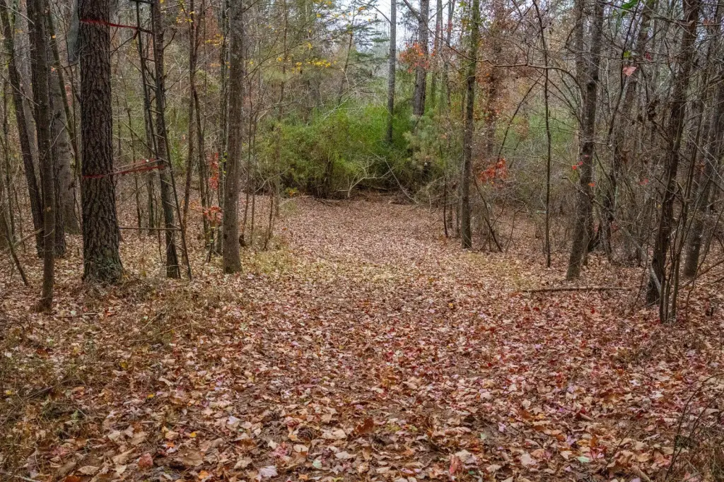Picture 4
